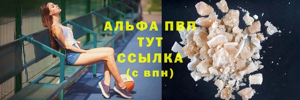 сатива Вязьма