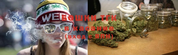 сатива Вязьма