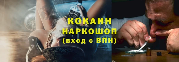 крисы Горняк