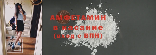 сатива Вязьма