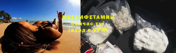 сатива Вязьма