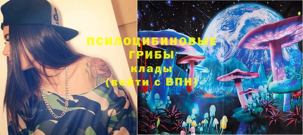 сатива Вязьма