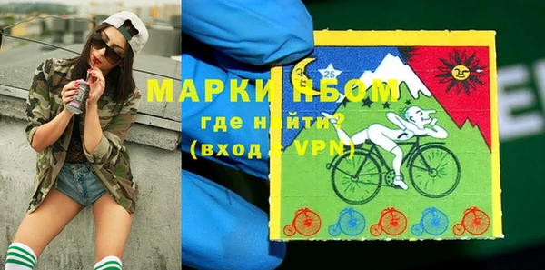 сатива Вязьма